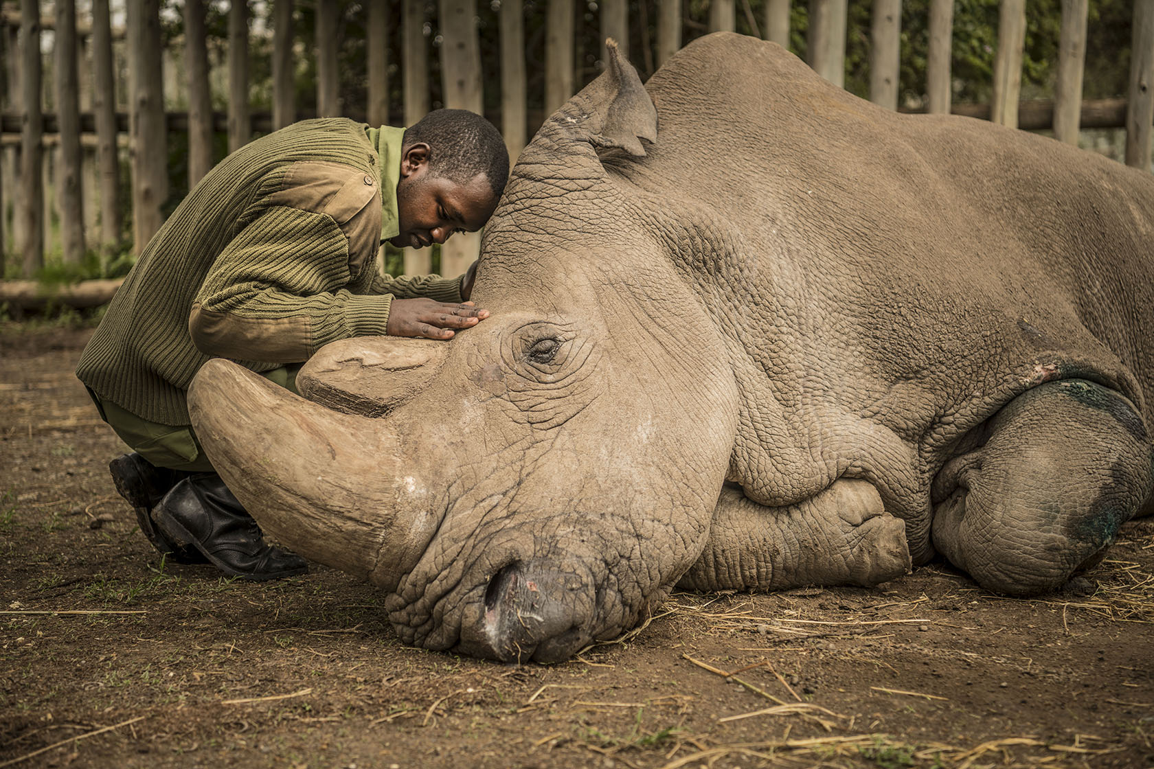 Vital Impacts to Exhibit ‘Our Interconnected World’ at NYC Photoville Festival June 1-16, 2024