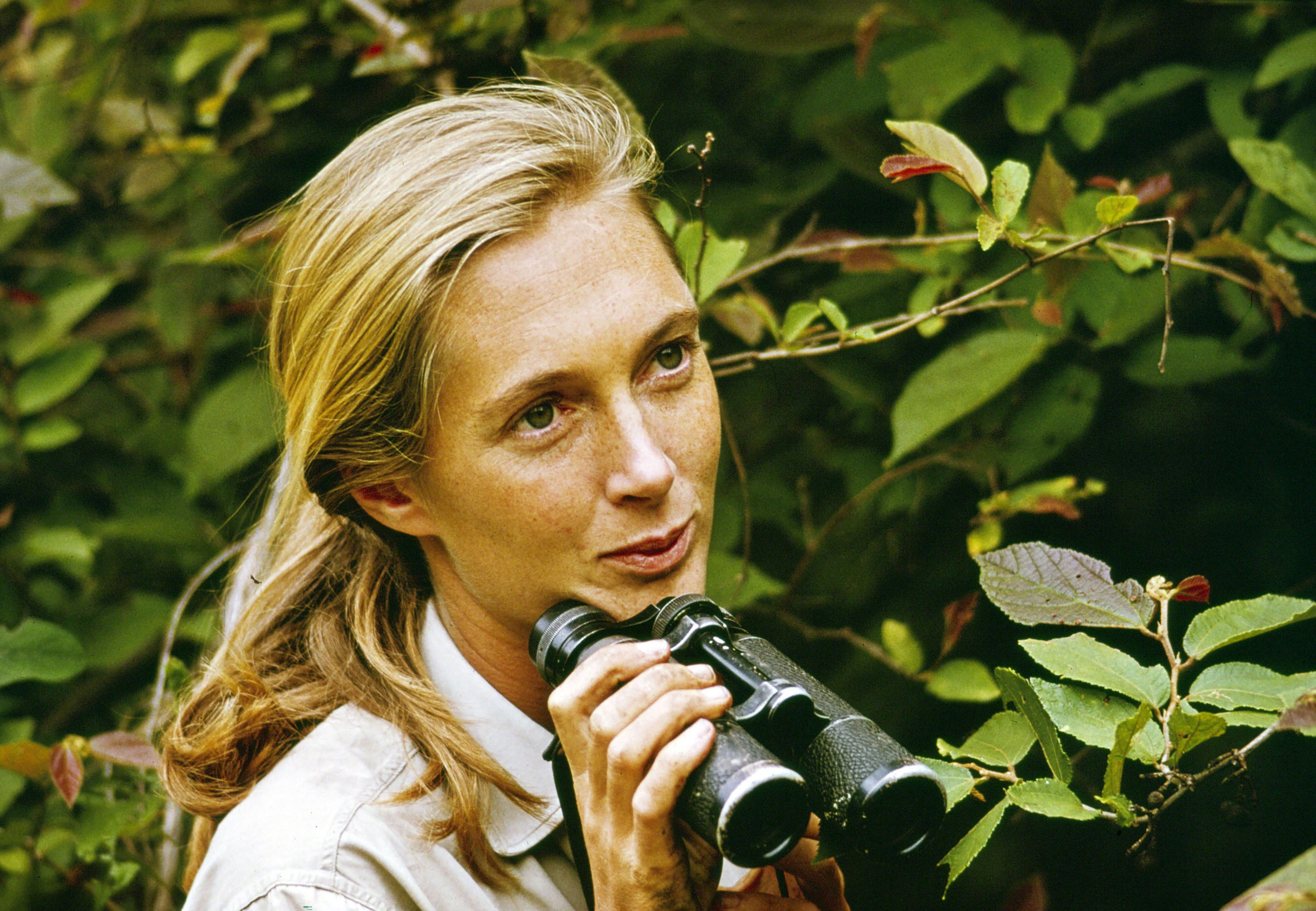 The Jane Goodall Institute and Vital Impacts Launch a Joint Campaign to Celebrate 90 Trailblazing Female Photographers in Honor of Jane Goodall’s 90th Birthday