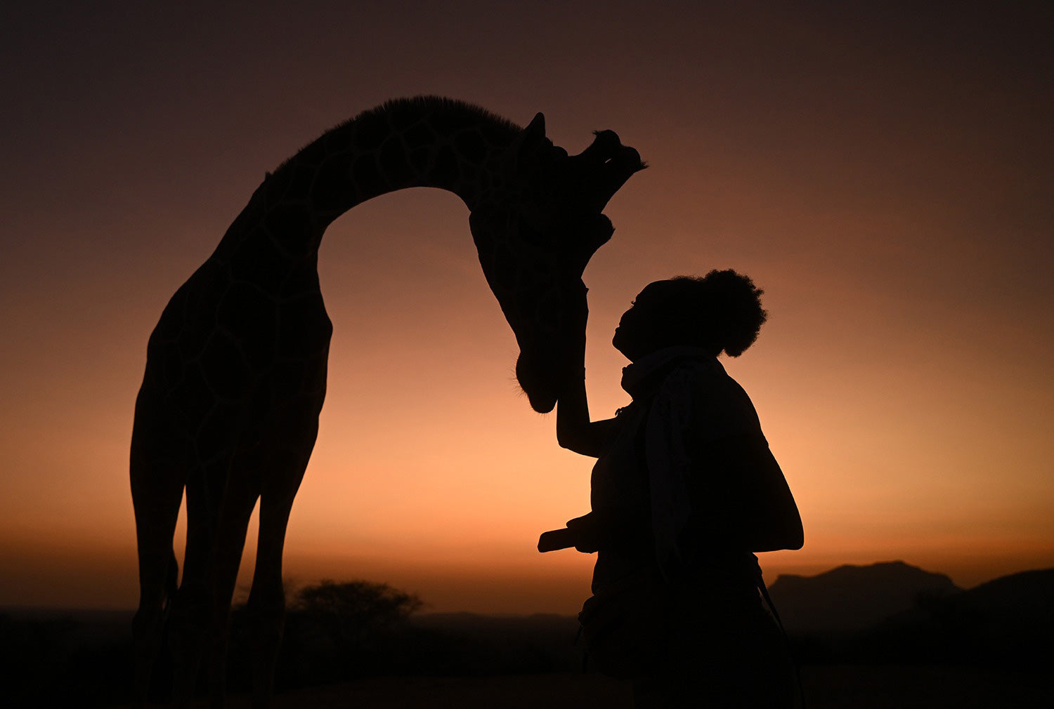 Vital Impacts Storytelling Workshops