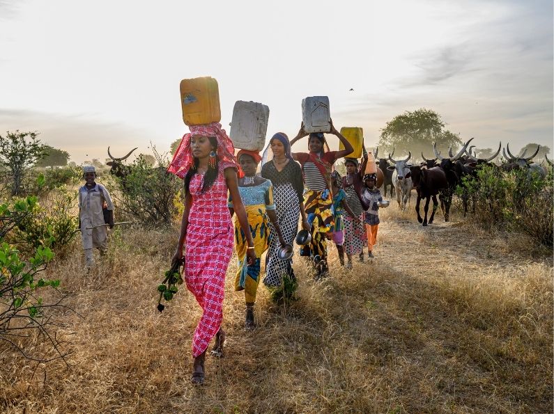 Join Us for a Conversation with Hindou Oumarou Ibrahim - December 10 at 11 am EST