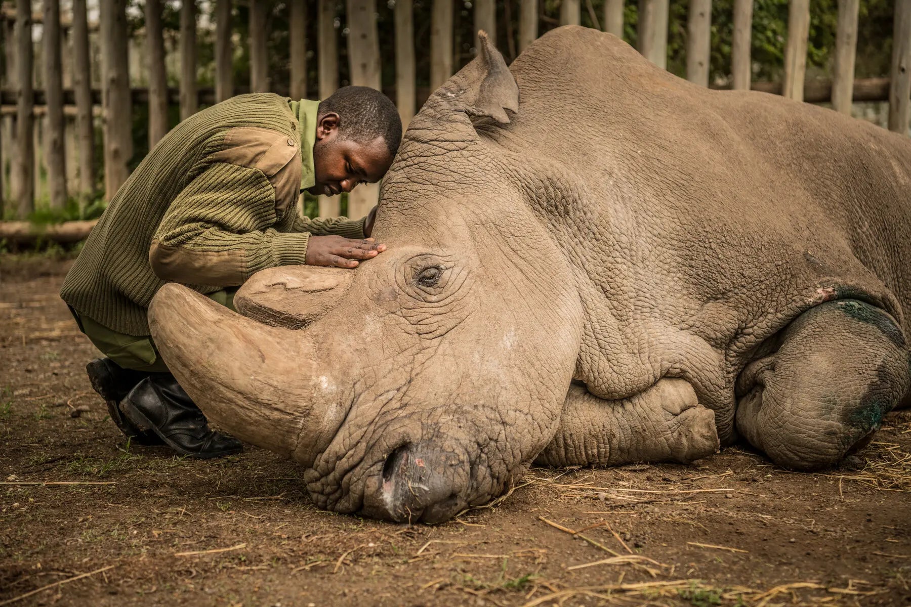5 Photographs That Shine in National Geographic's New Museum