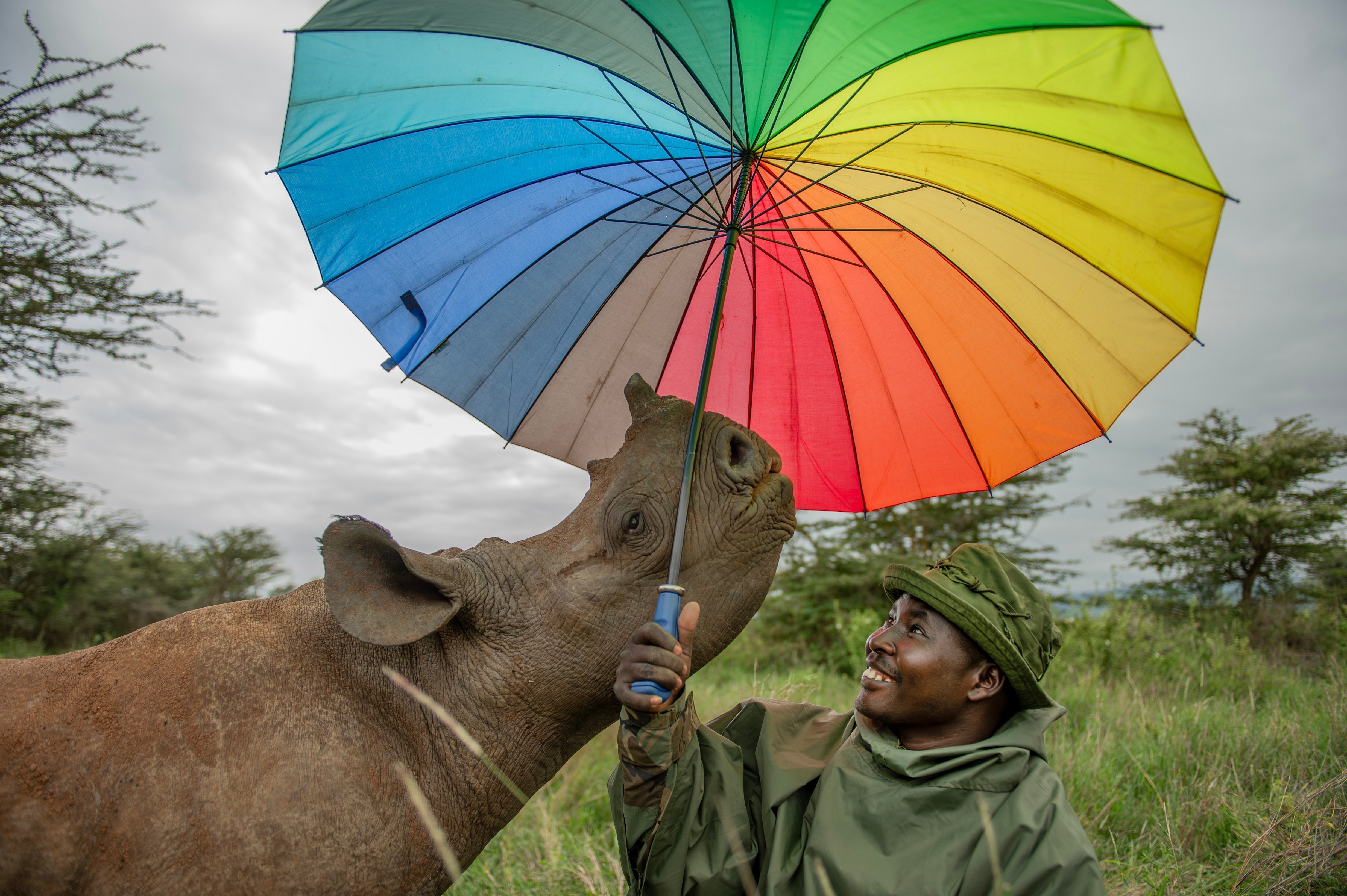Help Vital Impacts Meet the Match! Double Your Impact Today