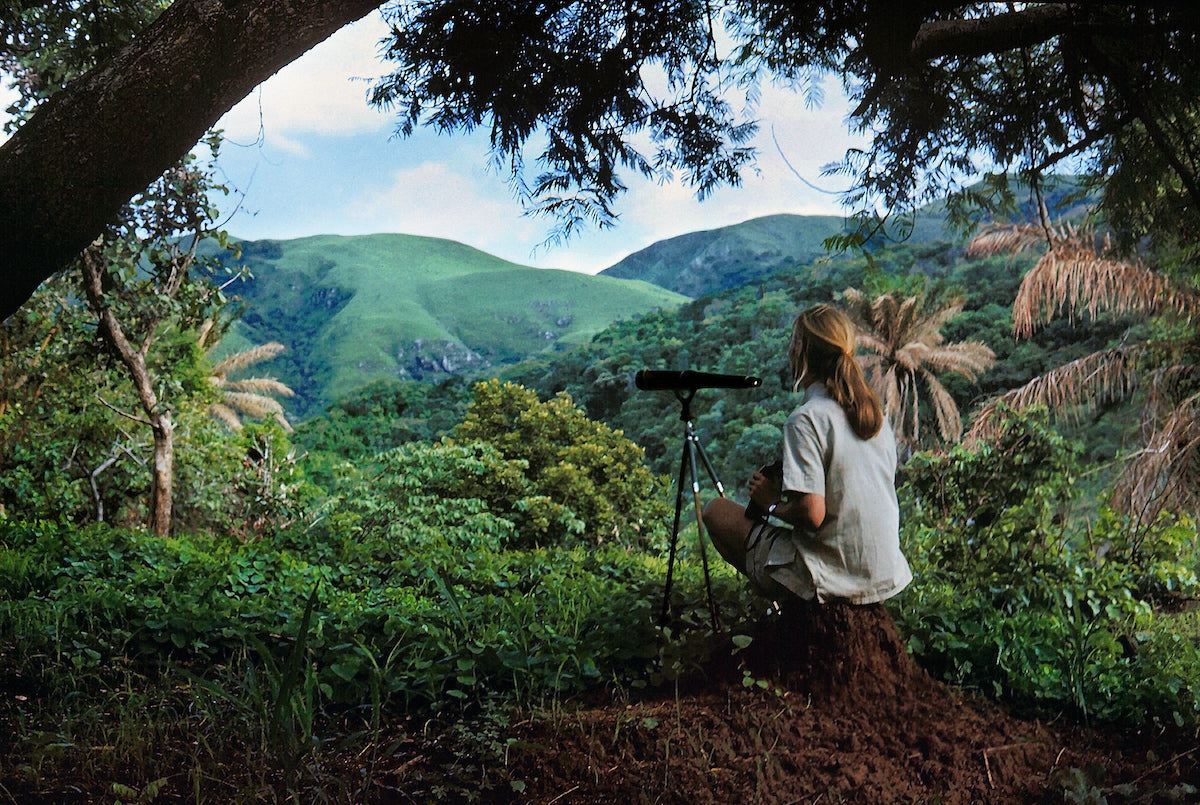 Hand-Signed Jane Goodall Prints