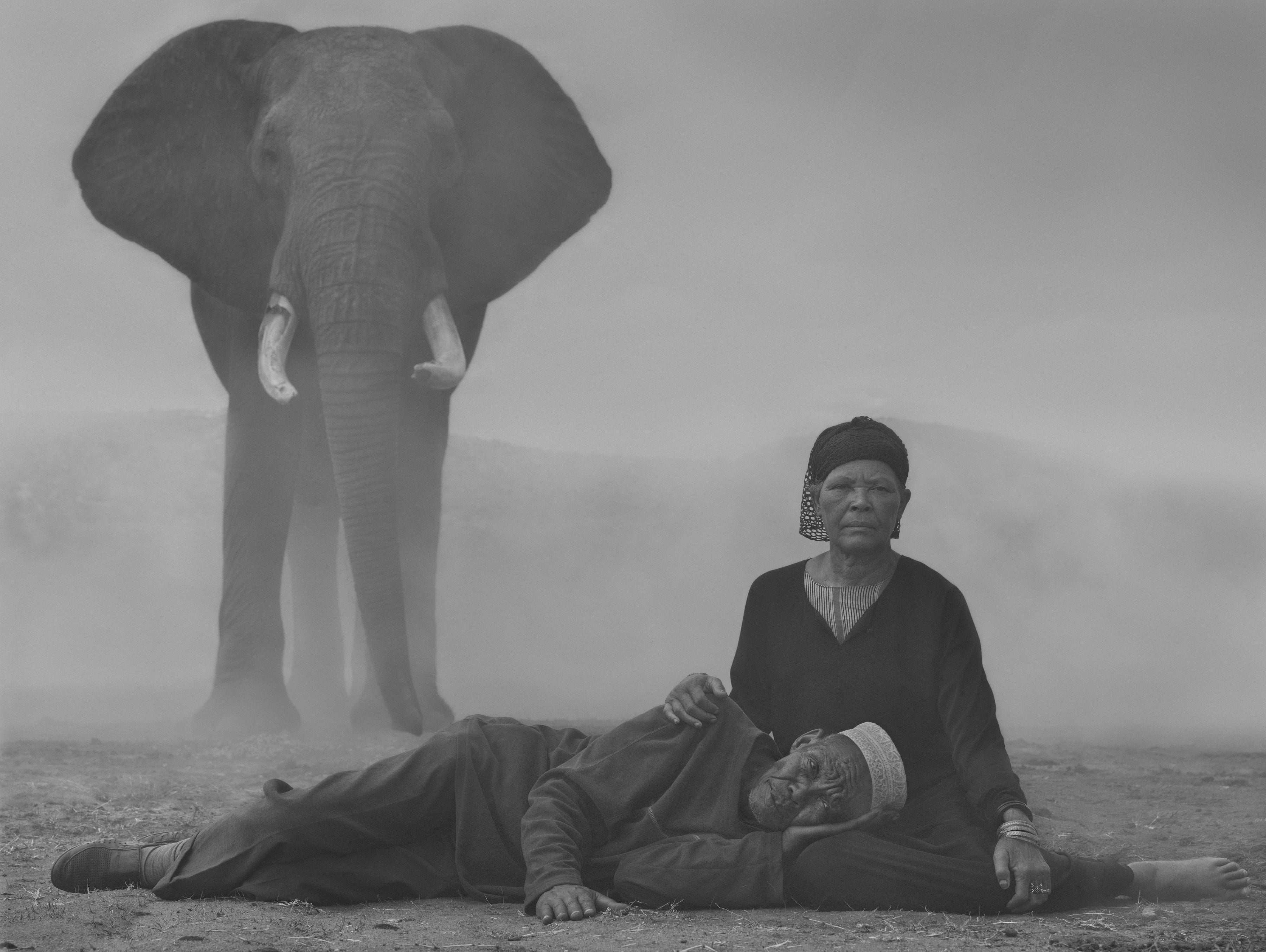 Nick Brandt. Limited Edition. – Vital Impacts