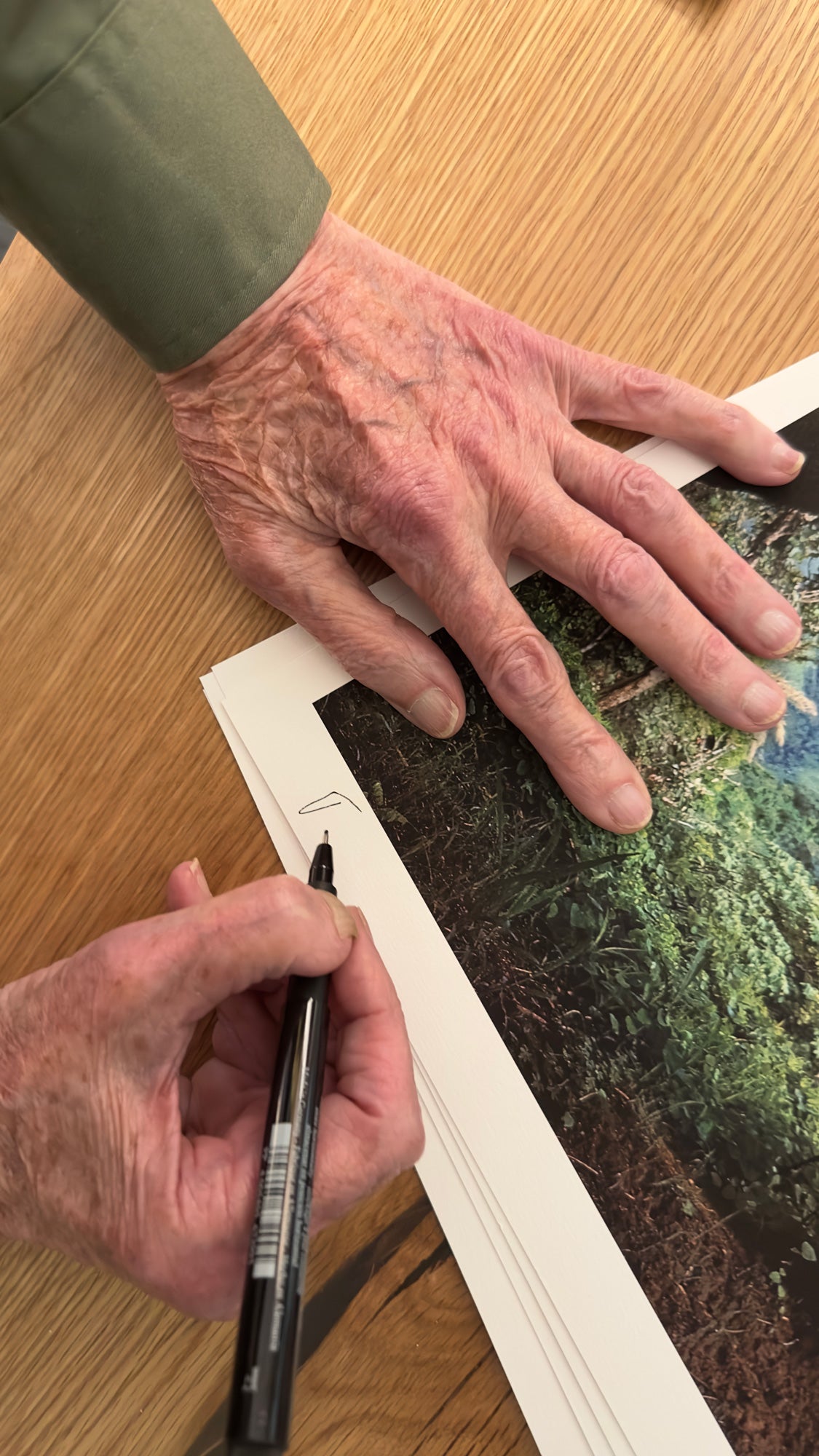 Hand-Signed Jane Goodall. Self Portrait.